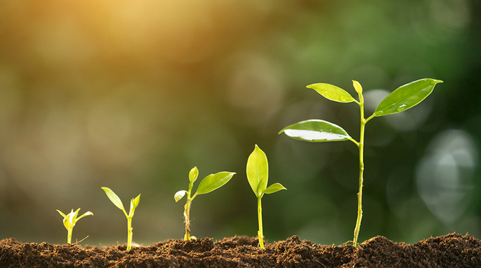Conversion Rate Optimization (CRO)